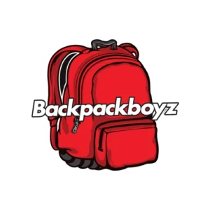 2mg Backpackboyz dispoasable vapes wholesale